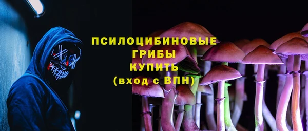 ешки Абаза