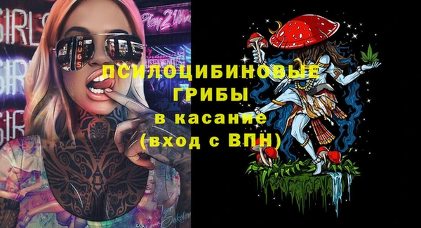 ешки Абаза