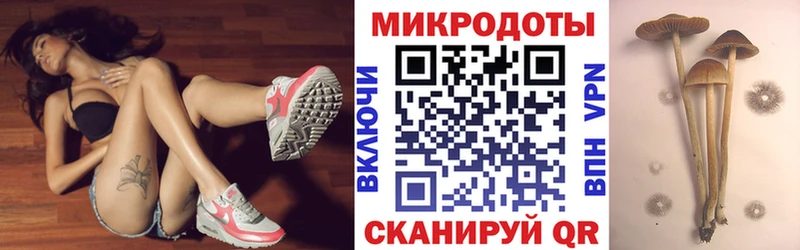 Галлюциногенные грибы мицелий  Лодейное Поле 